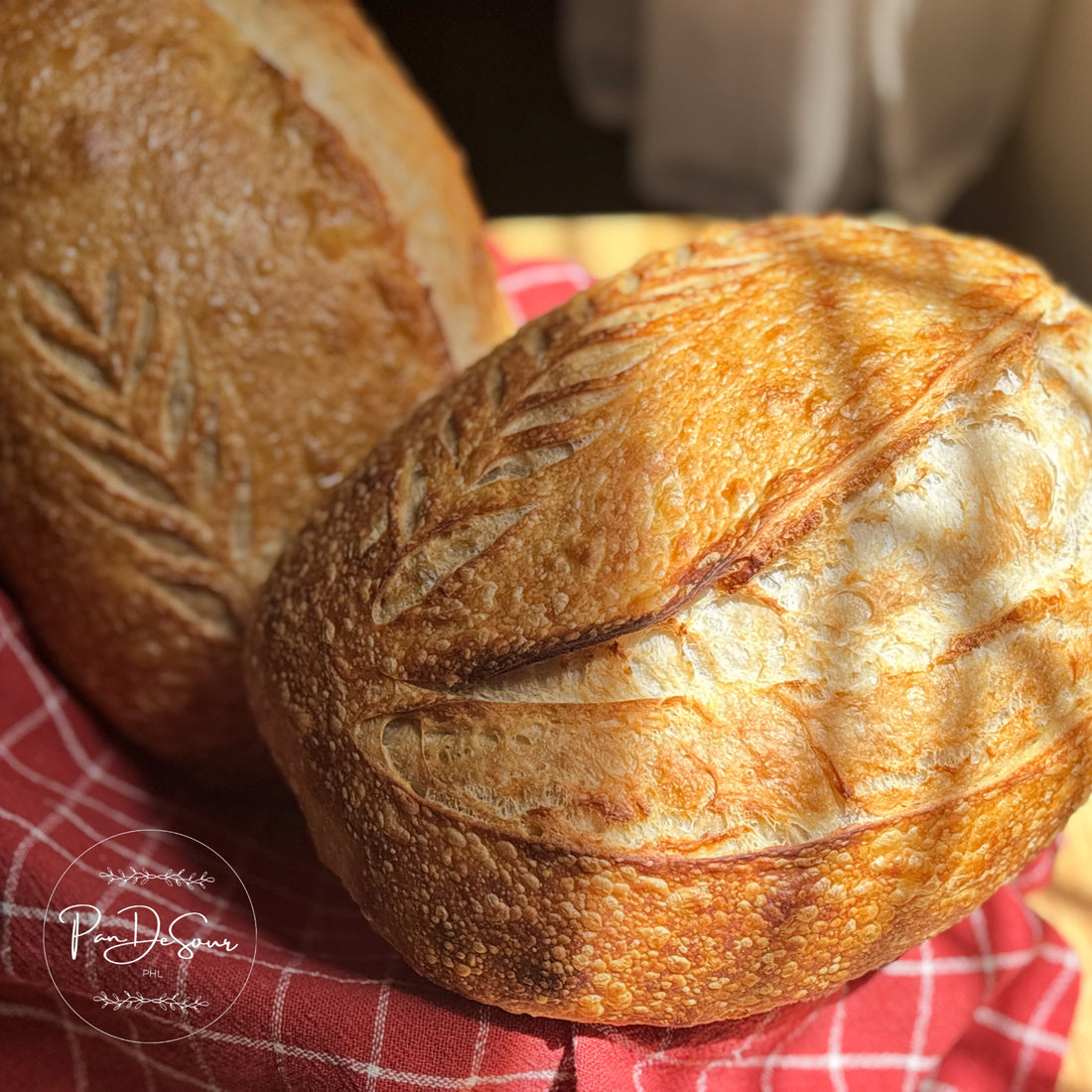 Why Sourdough Beats White Bread (and Where to Get It in Manila)